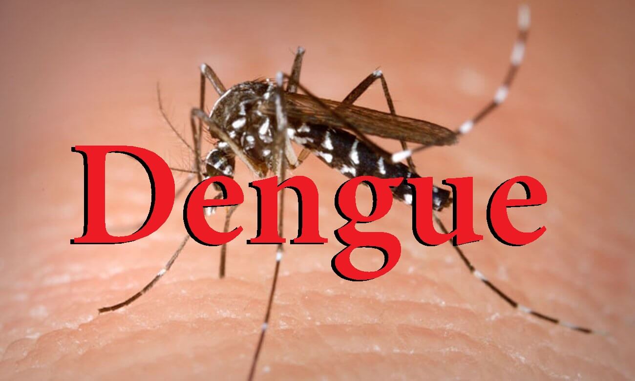 बेकाबू हुआ डेंगू, मौतों का सिलसिला जारी