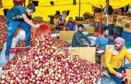 सेब खरीद-फरोख्त के लिए बनाए नौ सेफ जोन