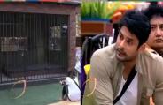 biggbossfinal.jpg