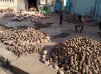 kuchaman. Earthen lamps will bring immense happiness