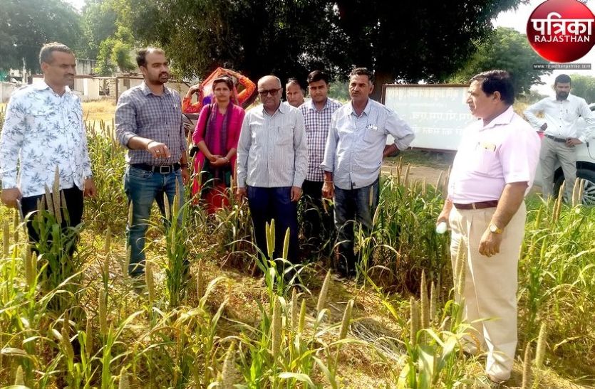 कृषि विश्वविद्यालय जोधपुर के कुलपति ने किया निरीक्षण, बोले : नवीन तकनीक के कृषि उत्पादनों को देना होगा बढ़ावा