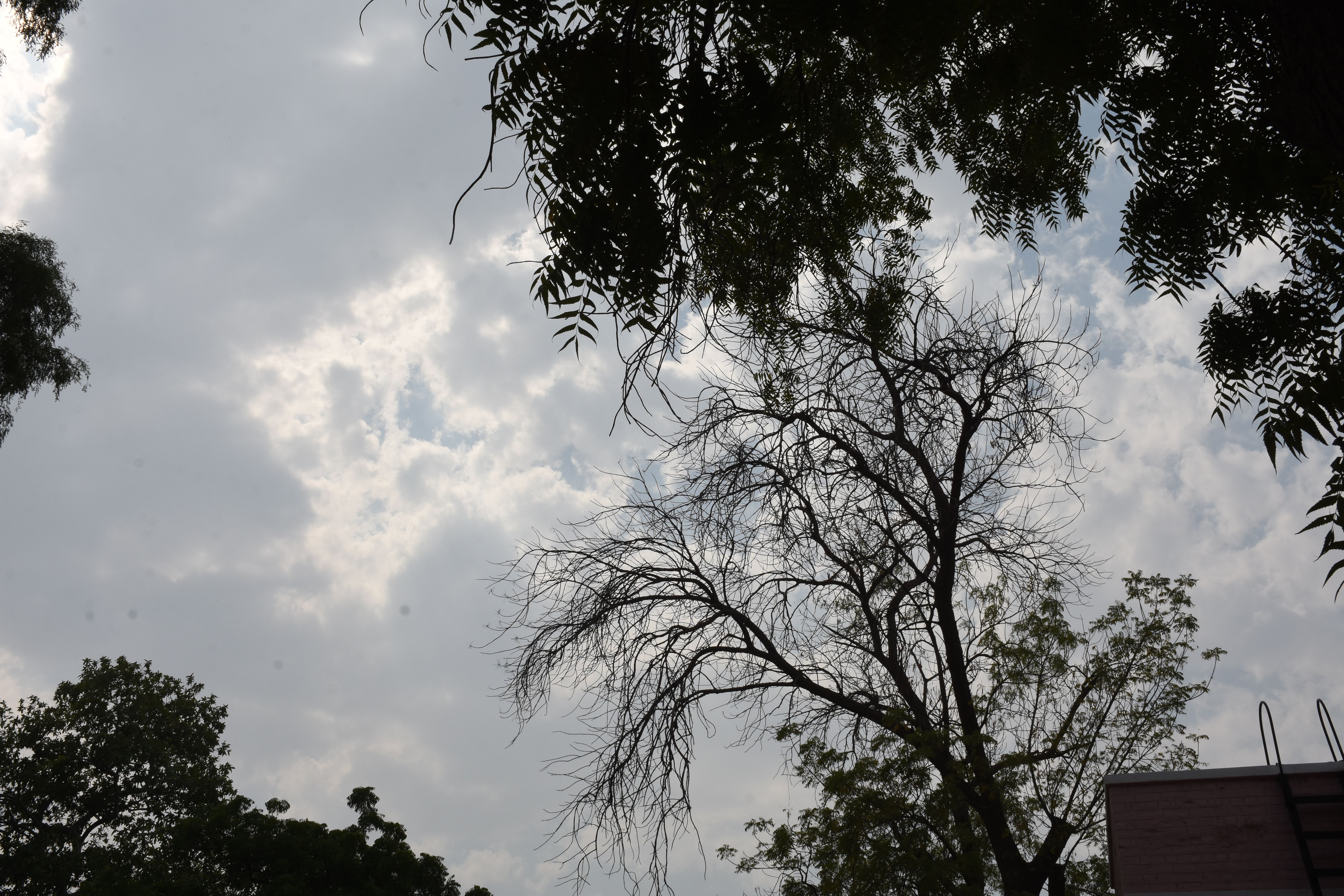 bikaner weather- Temperature increase, cold in evening