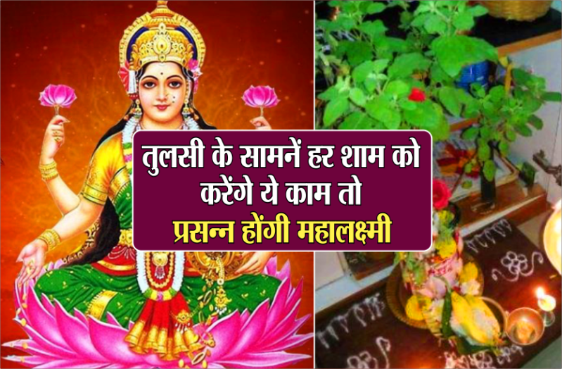 वास्तुशास्त्र के अनुसार, तुलसी का पौधा वास्तुदोषों को खत्म कर देता है
