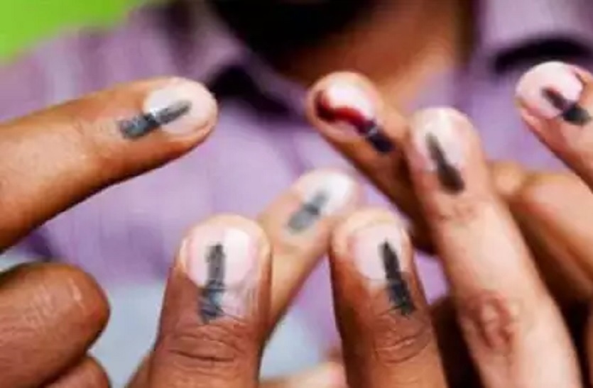 यूपी में 11 विधानसभा सीटों पर कुल 47.05 प्रतिशत पड़े वोट, सबसे ज्यादा चर्चा में रामपुर सीट
