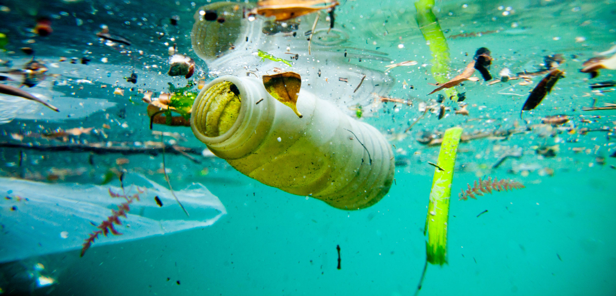 निकोबार द्वीप के तटों पर फैल रहा प्लास्टिक प्रदूषण