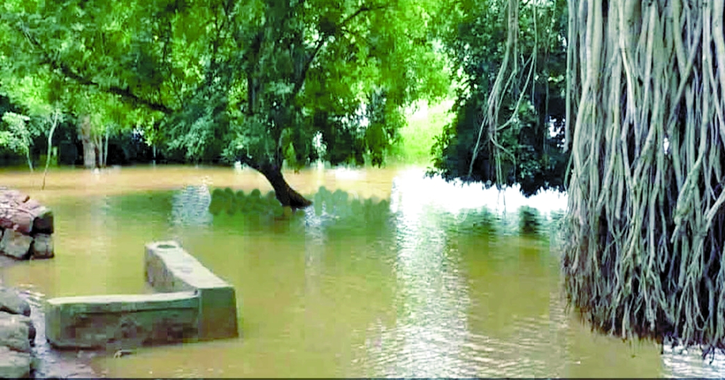 बारालीकाडु में भरा पानी, इको-टूरिज्म सेंटर बंद