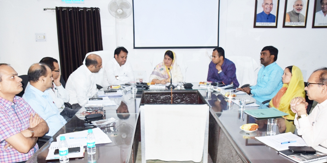 Singrauli District Development Coordination Monitoring Committee met