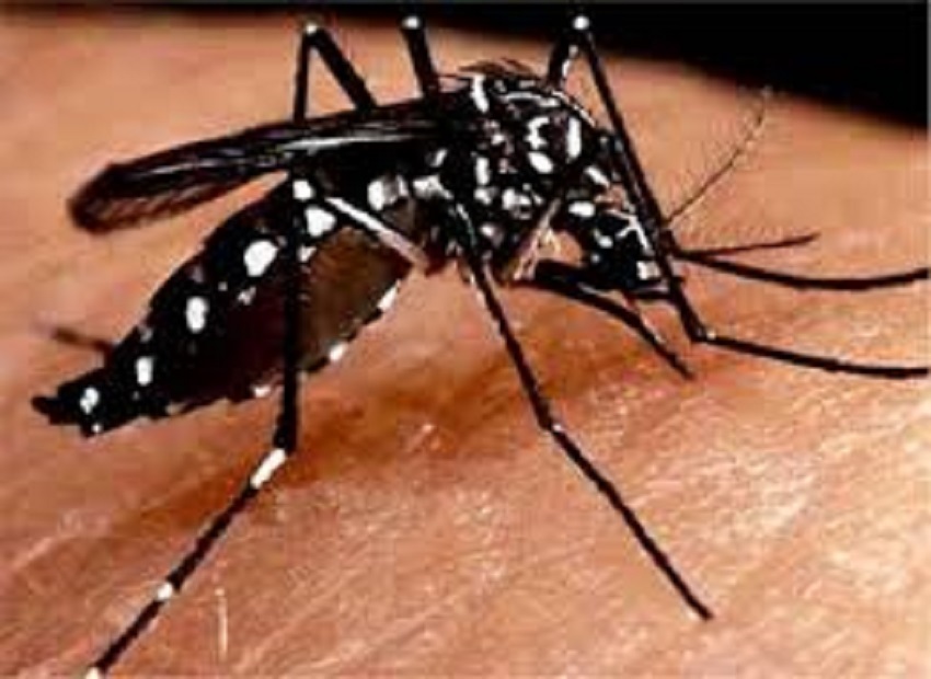 रिसड़ा में डेंगू से युवक की मौत, बवाल
