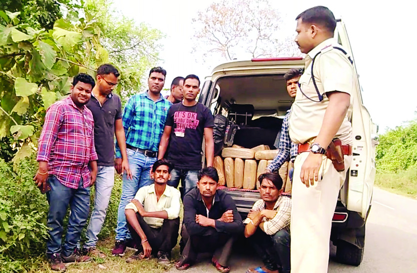 पुलिस ने बरामद किया 125 किलो गांजा, ओड़िसा से मनेन्द्रगढ़ में कर थे गांजे की सप्लाई, 3 तस्कर गिरफ्तार