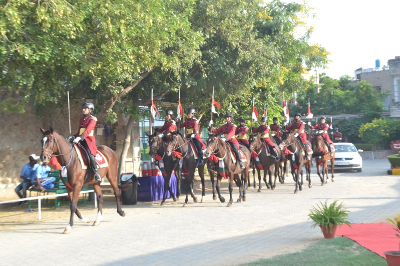 horse show in ajmer