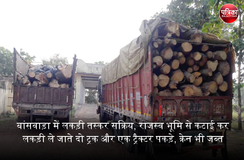 बांसवाड़ा में लकड़ी तस्कर सक्रिय, राजस्व भूमि से कटाई कर गीली लकड़ी ले जाते दो ट्रक और एक ट्रैक्टर पकड़े, क्रेन भी जब्त
