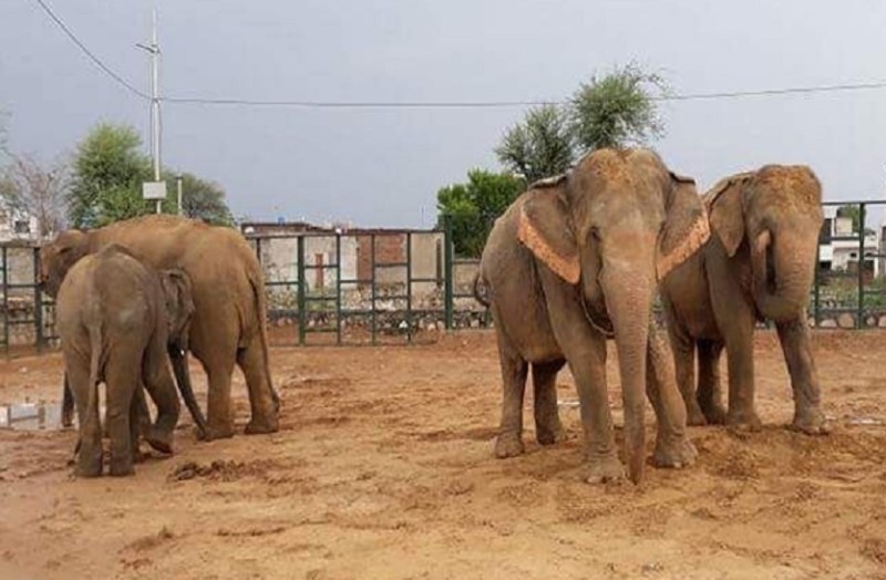 हाथी गांव में सफेद हाथी साबित हो रहा पर्यटन सुविधा केंद्र