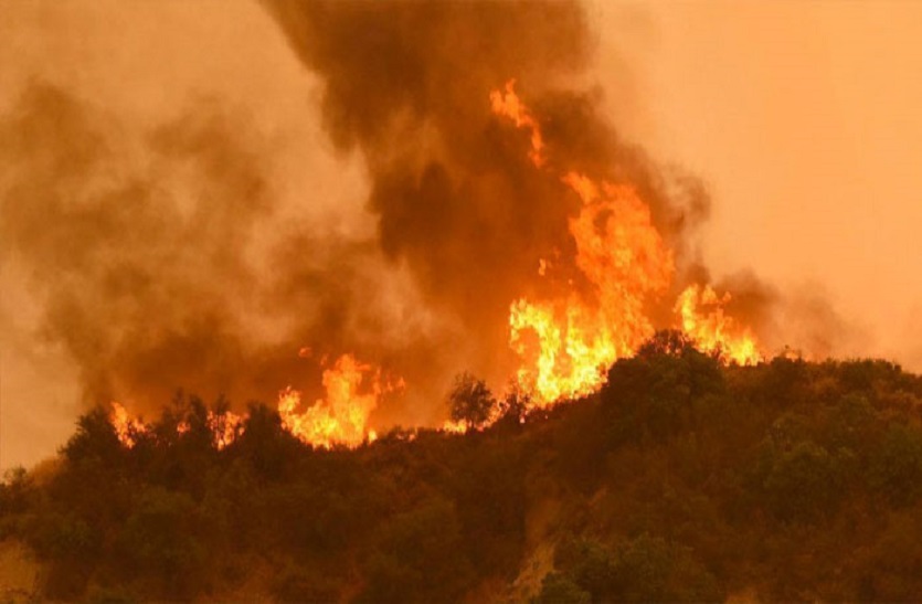 कैलिफोर्निया के जंगलों में लगी भीषण आग