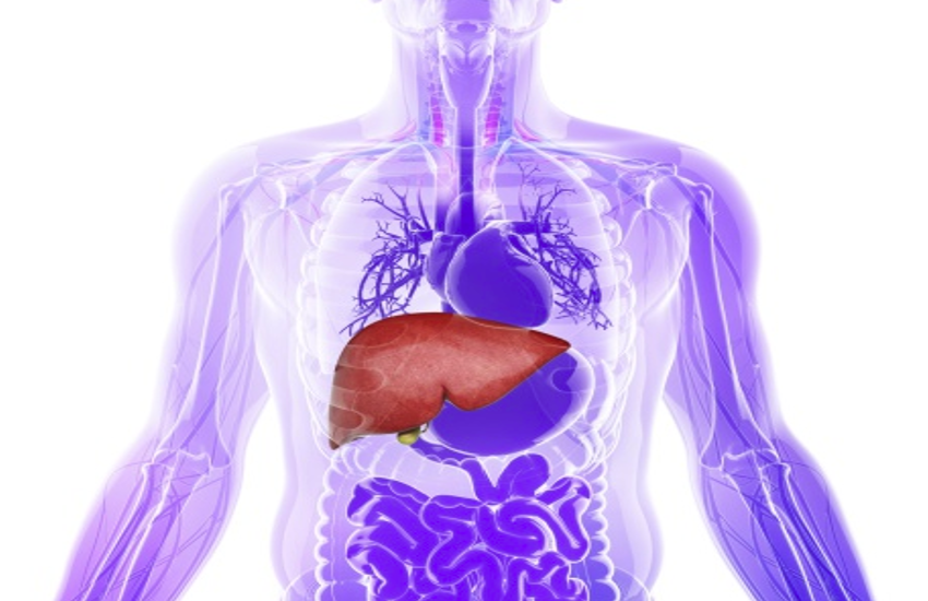 Liver Health: Diagnosis Your Liver Health by These Tips