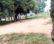 Panna news