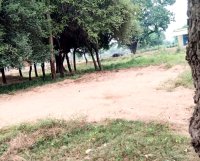 Panna news