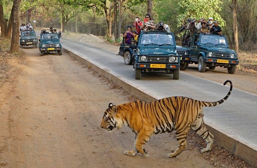 mukundara hills tiger reserve