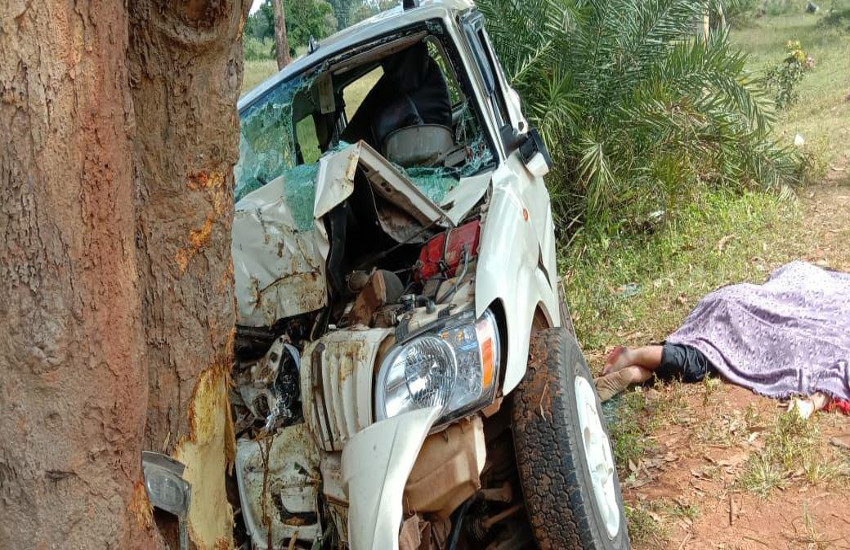 तेज रफ्तार वाहन पेड़ से टकराई, मौके पर 2 महिलाओं समेत 3 की मौत
