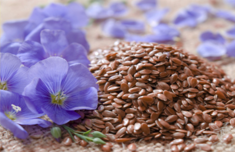 Flax Seeds Play Important Role To Control cholesterol And Diabetes