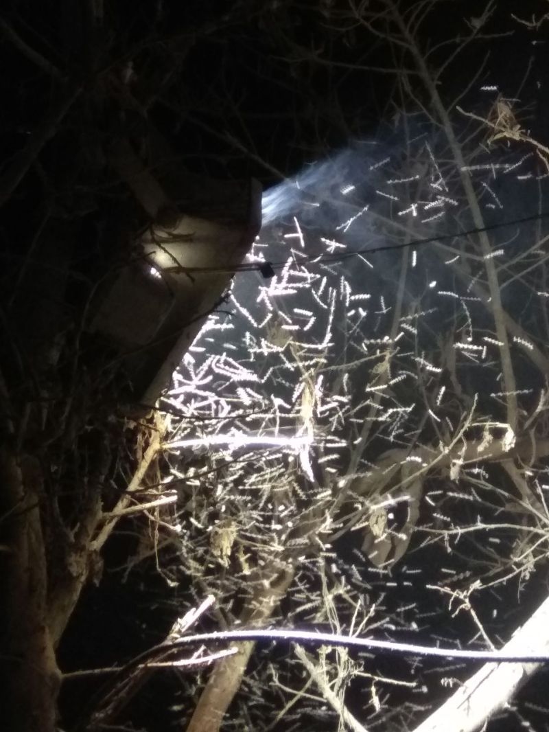 Not even a single industry has reached the plastic park