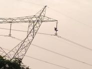 Drunk Men Climb On Electric Tower In Alwar