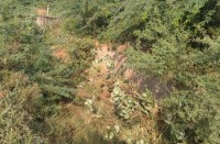 रबी की फसल की सिंचाई का समय नजदीक, बांध की नहरों व माइनर में भरी है मिट्टी, अंतिम छोर तक पानी पहुंचने में संशय