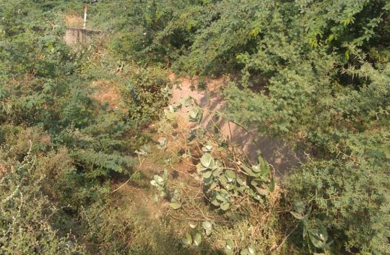 रबी की फसल की सिंचाई का समय नजदीक, बांध की नहरों व माइनर में भरी है मिट्टी, अंतिम छोर तक पानी पहुंचने में संशय