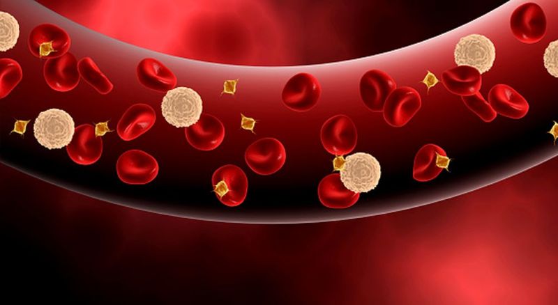 हीमोग्लोबिन 