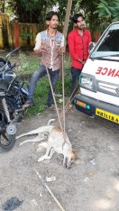 टीबी वार्ड, पोस्टमार्टम रूम की दीवार से परेशानी