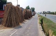 हाइवे सर्विस लाइन पर कड़बी लगा किया अतिक्रमण
