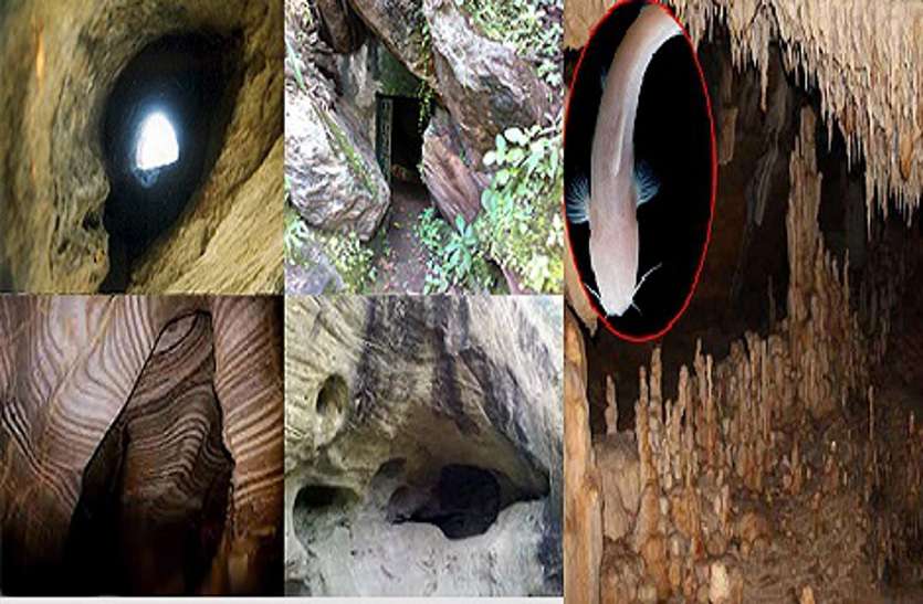 कल पर्यटकों के लिए खुल जाएगी वो अंधेरी गुफा जहां अंधी मछलियों का है राज