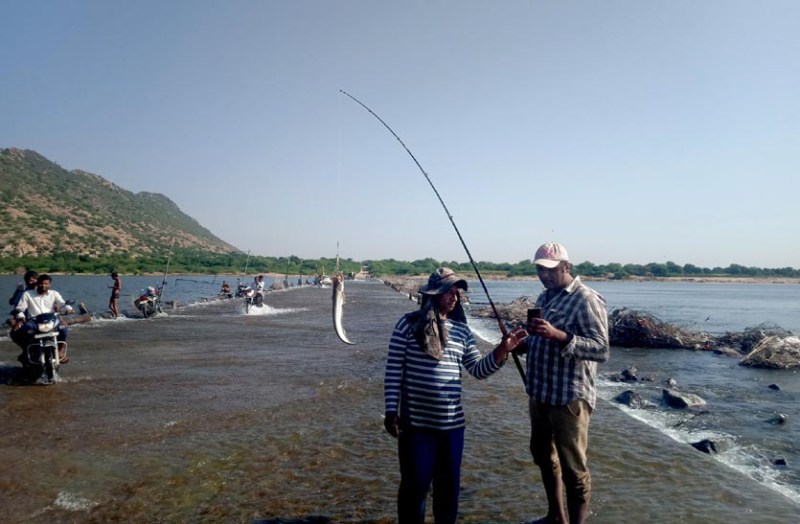 Many species of fish