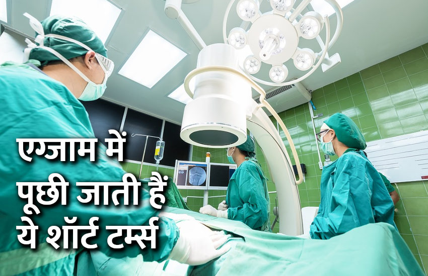 Education, interview, exam, online test, rojgar samachar, interview tips, online exam, Mock Test, general knowledge, GK, interview questions, jobs in hindi, rojgar, competition exam, mock test paper, sarkari job, questions Answers, GK mock test, Exam Guide, General Science Questions, Questions and answers, common general knowledge questions and answers, common general knowledge questions and answers, GK, short terms