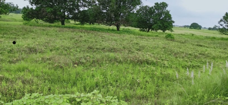 government will not give compensation to farmers on survey report of administration