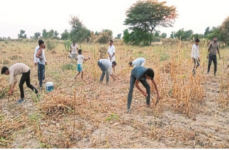 'Lah' resurfaced due to good times