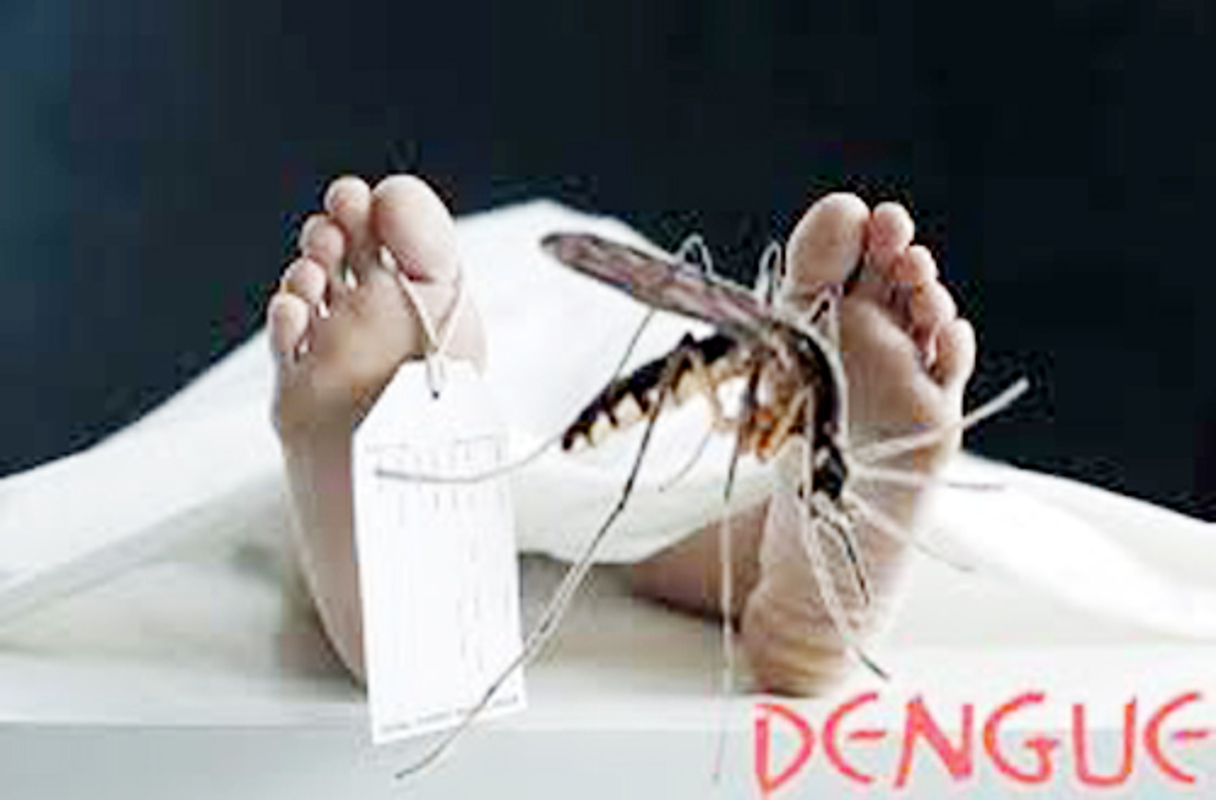 Dengue took one more life