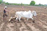 Farmers will get 3 thousand pension