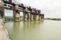 माशी बांध की नहरों से 6985 हैक्टेयर जमीन पर रबी की फसल में होगी सिंचाई, रविवार को होगी जल वितरण कमेटी की बैठक