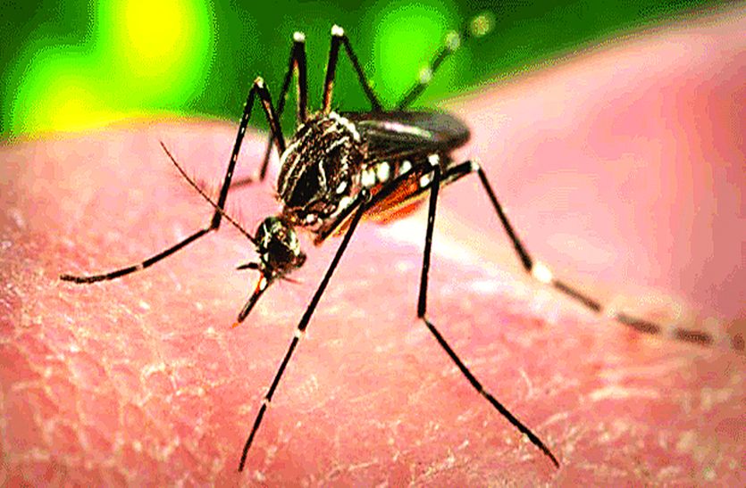 सता रहा डेंगू का डंक, सरकारी अस्पताल में जांच सिर्फ 12 बजे तक