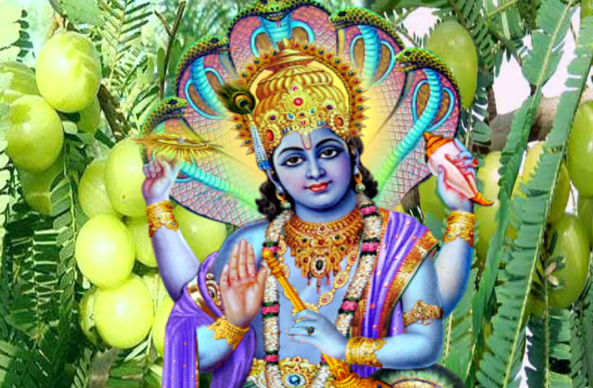 amla_vishnu.jpg
