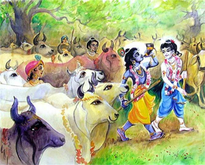 गोपाष्टमी: गाय और ग्वालों की पूजा के बाद जरूर करें ये काम, मिलेगा अक्षय पुण्य