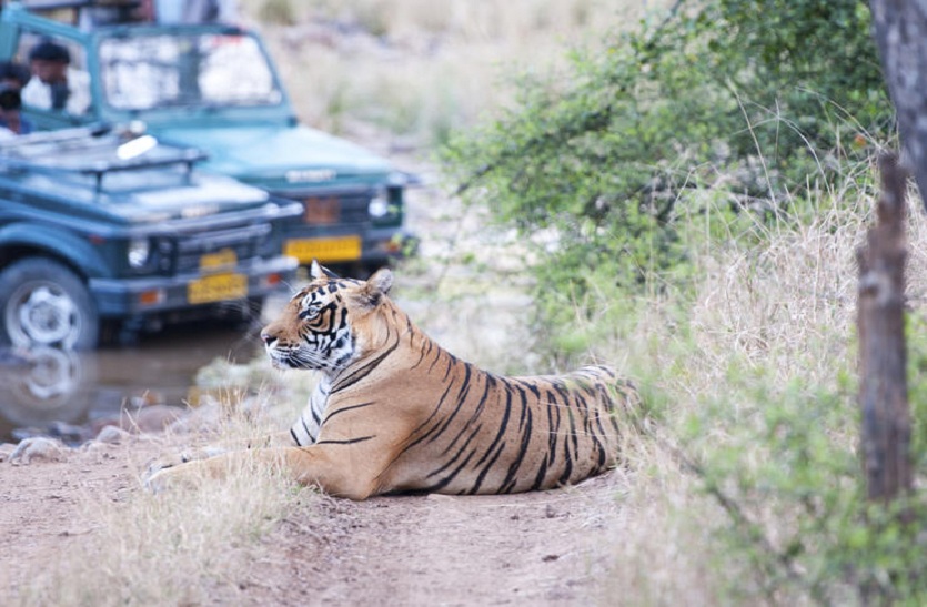 रणथम्भौर में पहले भी पार्क भ्रमण में हो चुका है फर्जीवाड़ा