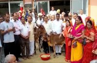 गोपाष्टमी पर्व : गायों को खिलाया गुड़, ओढ़ाई ओढऩी, पूजा-अर्चना कर मांगी सुख- समृद्धि