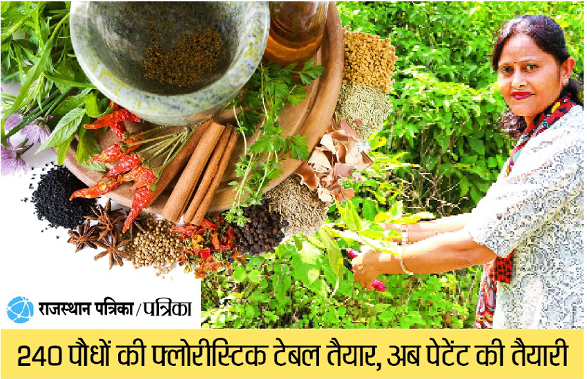 हाड़ौती की दुर्लभ जड़ी-बूटियों में मिले ढेरों एंटी ऑक्सीडेंट्स...जानिये कैसे!