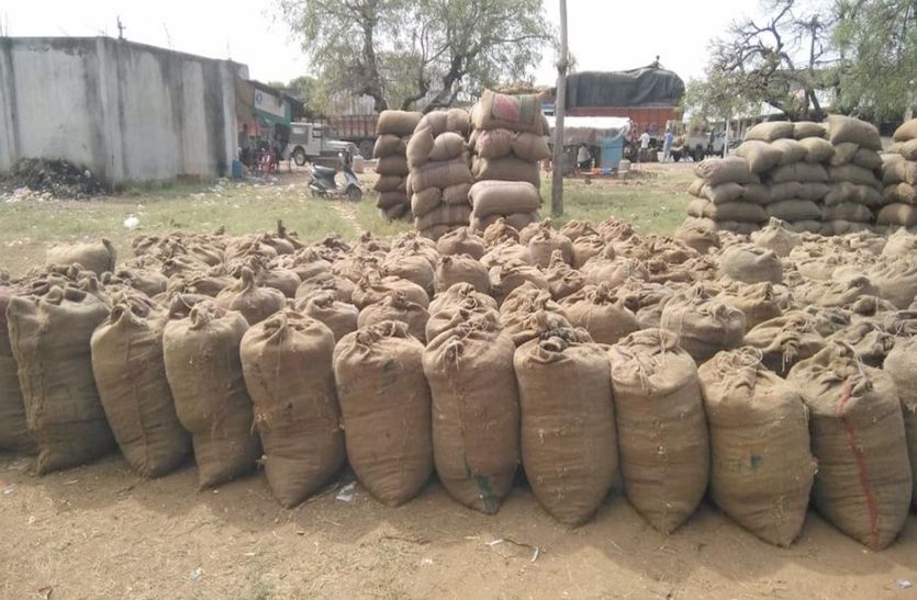 रानीवाड़ा मंडी में किसानों को मूंगफली के उचित दाम नहीं मिलने से मजबूरन में गुजरात की मंडियों में बेचनी पड़ रही