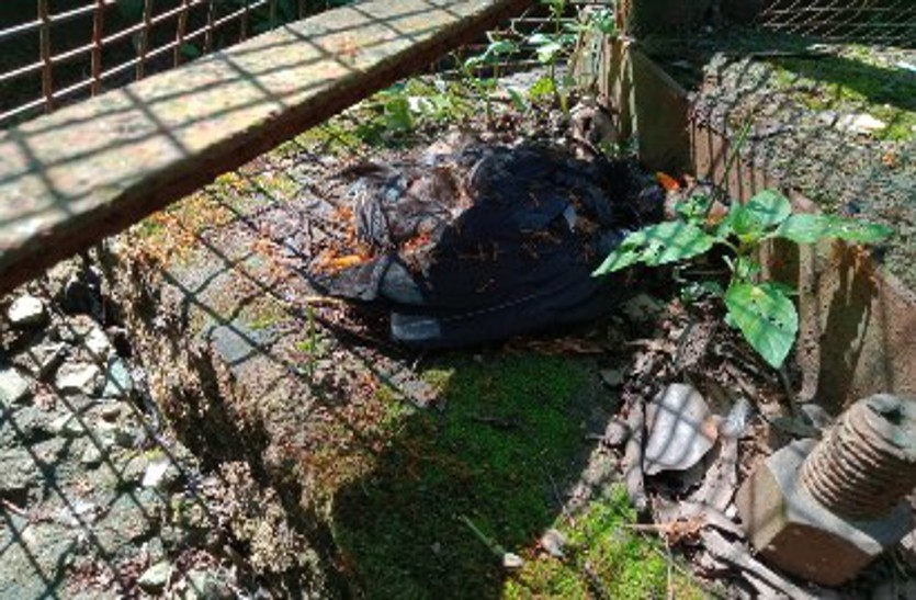 14 साल से जगदलपुर के वन विद्यालय में विशाल पिंजरे में रखी छत्तीसगढ़ की राजकीय पक्षी पहाड़ी मैना की मौत