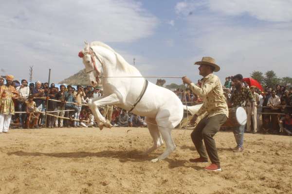 कार्तिक एकादशी से पूर्णिमा पर प्रतिवर्ष पुष्कर मेला भरता है।