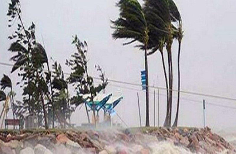 किसानों के लिए अच्छी खबर, फसल पर मंडराने वाला ये खतरा टला, बेफिक्र रहिए क्योकिं....