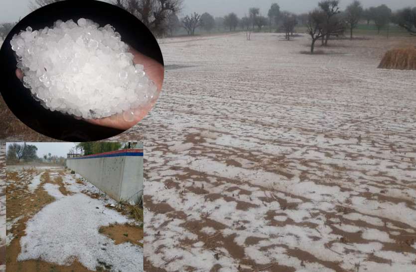 weather-cyclone-rain-crops-farmers-suffered-from-hailstorm