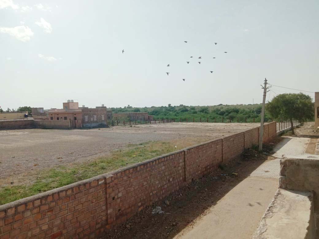 फलोदी. खीचन में सूना पड़ा चुग्गाघर